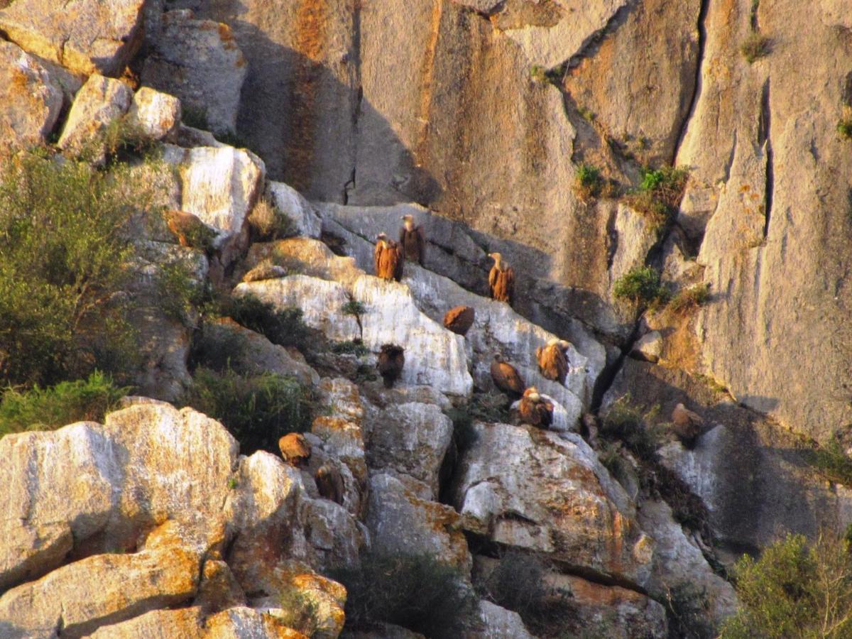 Casa Rural La teja (Caminito del Rey) El Chorro Exterior foto
